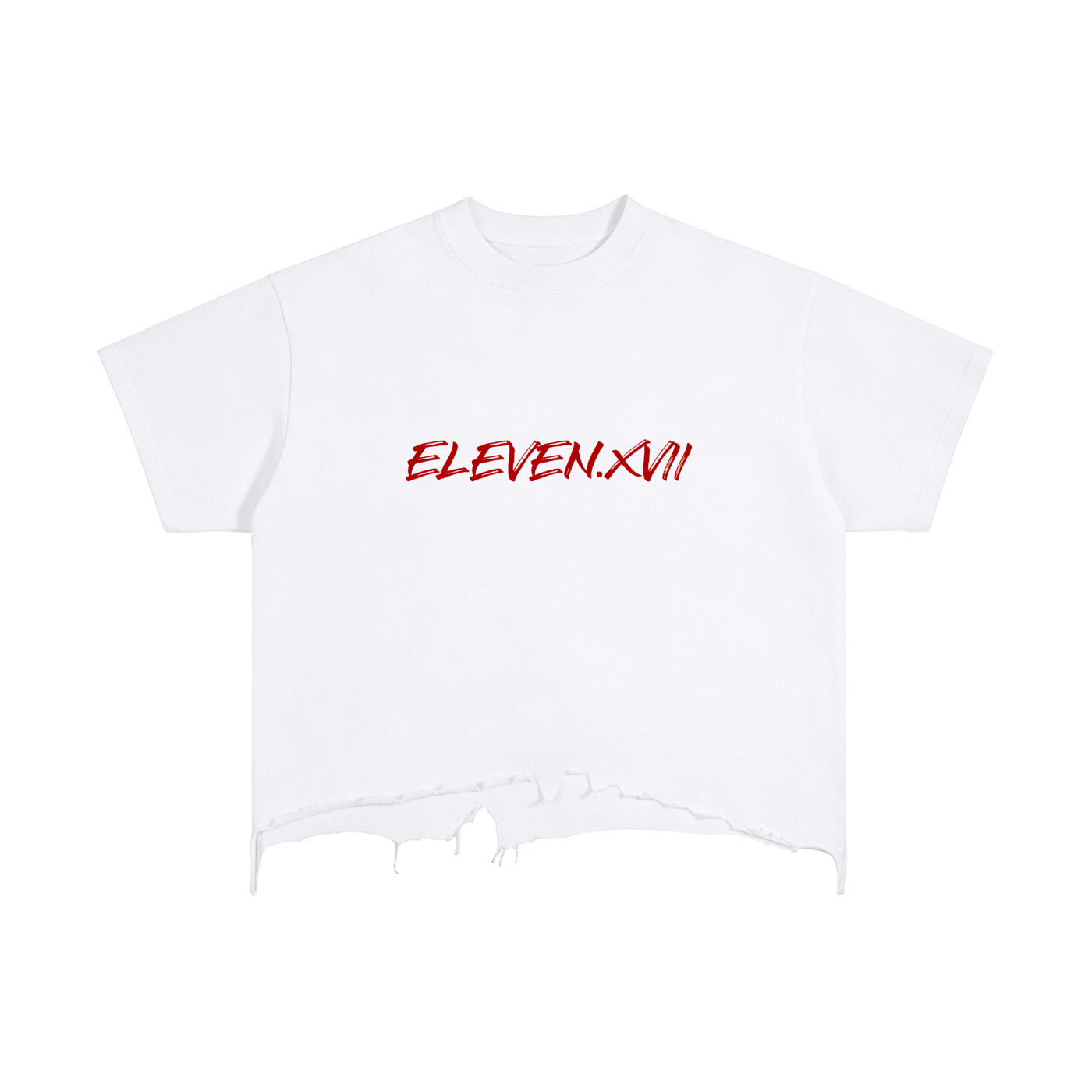 Vintage Wash Boxy Distressed Hem T-Shirt